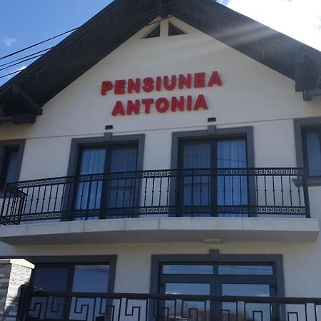 Pensiunea Antonia Sighetu Marmatiei Luaran gambar