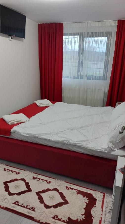 Pensiunea Antonia Sighetu Marmatiei Luaran gambar