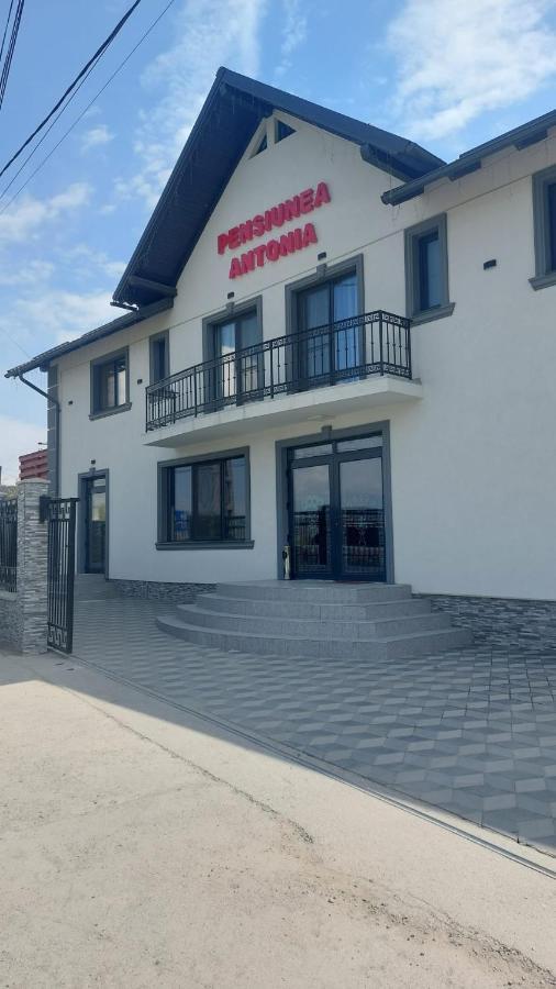 Pensiunea Antonia Sighetu Marmatiei Luaran gambar