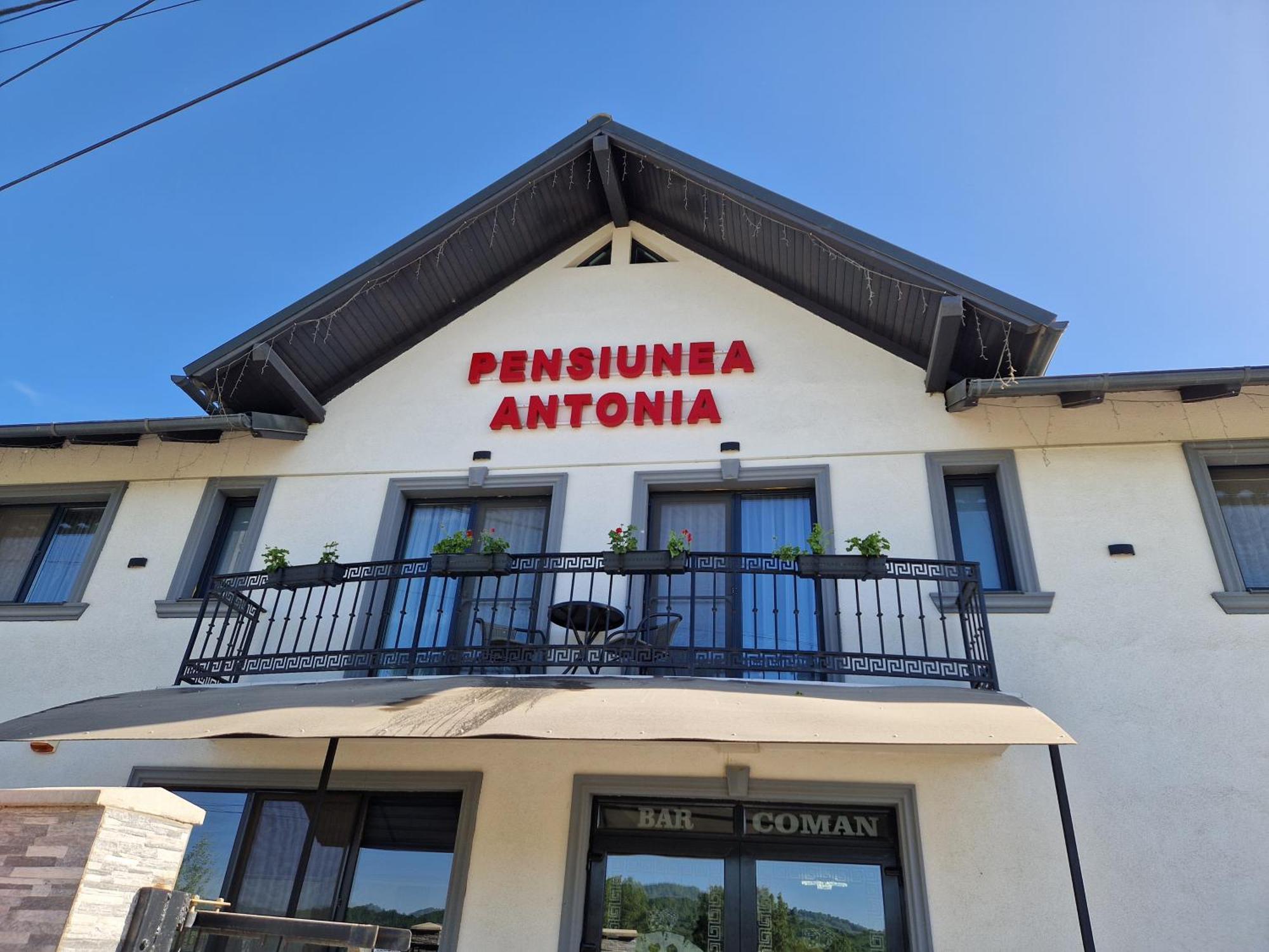 Pensiunea Antonia Sighetu Marmatiei Bilik gambar