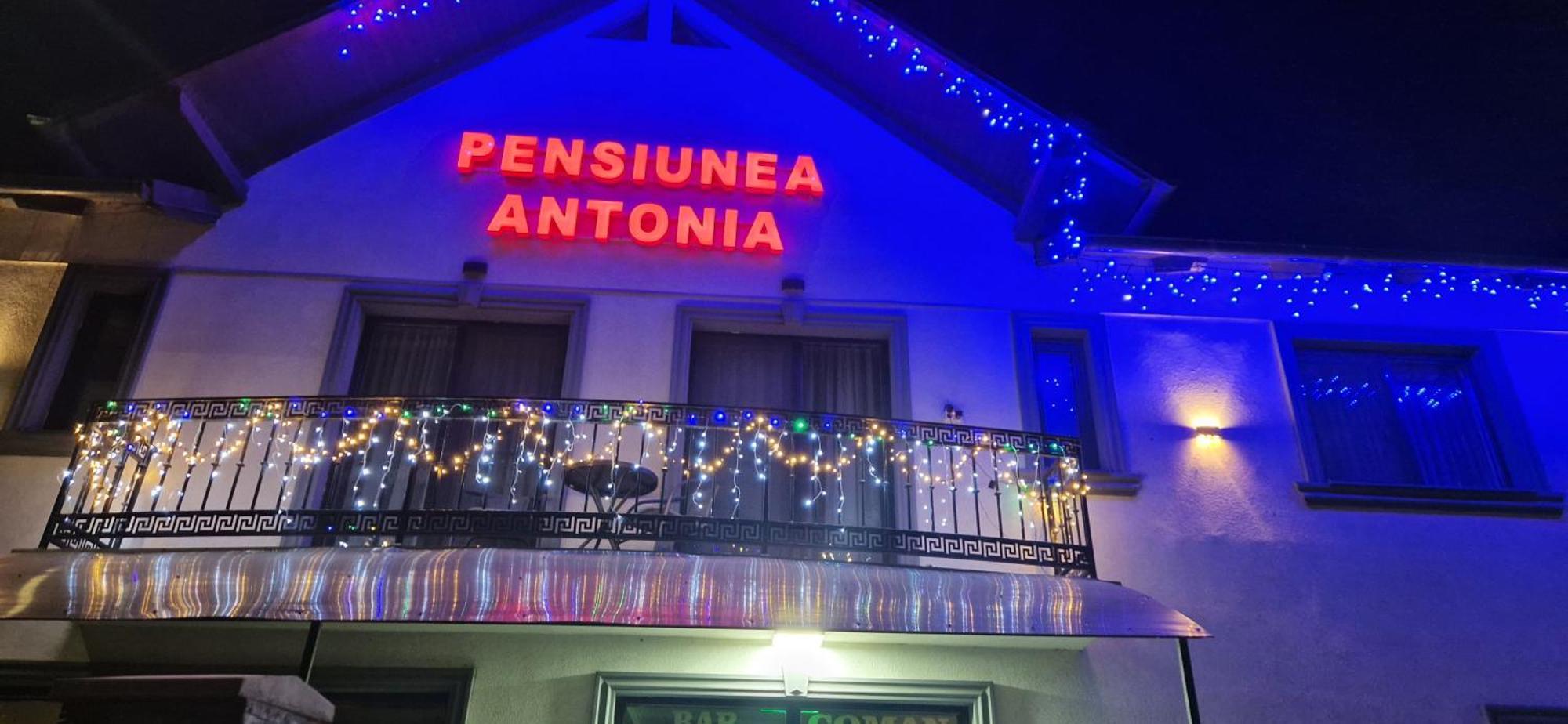 Pensiunea Antonia Sighetu Marmatiei Luaran gambar